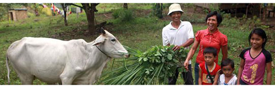 Heifer International